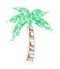 Palm Tree Stickers